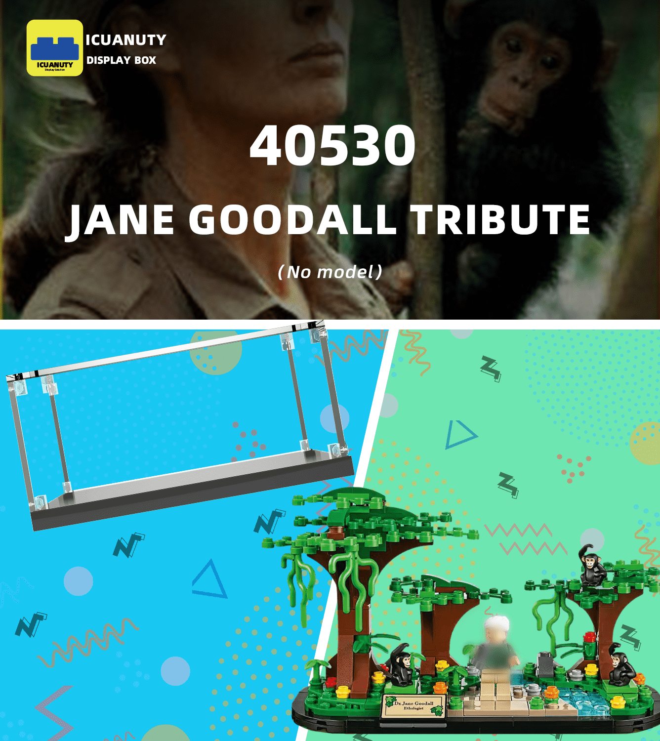 Display case for LEGO Creator Jane Goodall Tribute 40530