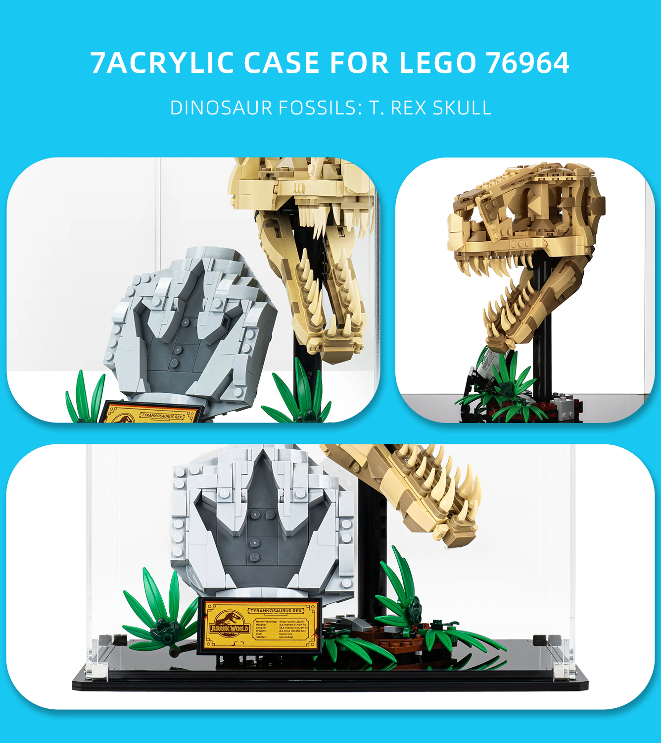Display Case for Lego Dinosaur Fossils T. rex Skull 76964