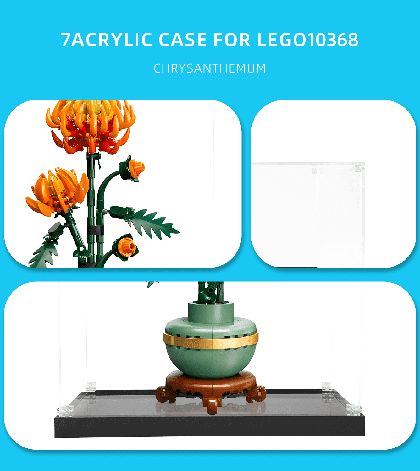 Display Case for LEGO Icons Chrysanthemum 10368 - ICUANUTY