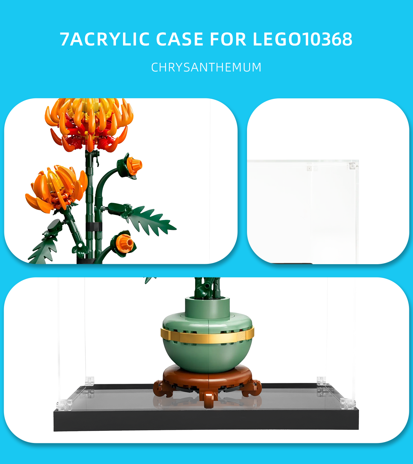 Display Case for LEGO Icons Chrysanthemum 10368